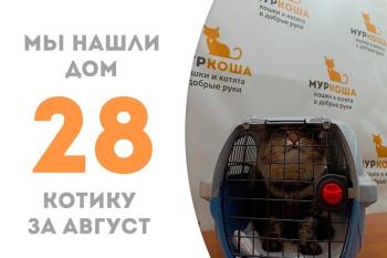 Чудесный Алистер нашёл дом!