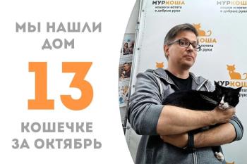 Очаровательная Бирочка стала домашней!