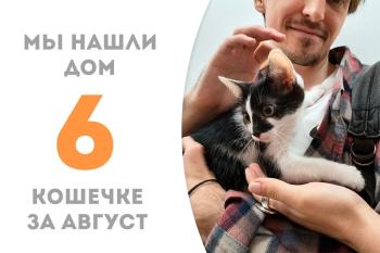 Меньше месяца понадобилось крошке Бискотти, чтобы стать семейной!
