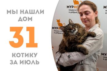 Чудесный Вальтер обрел дом!