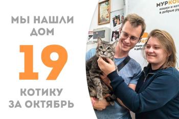 Годовалый котик Деймос стал домашним!