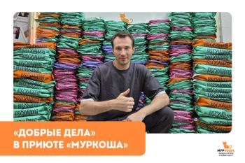 "Добрые дела" №12. Помощь самому крупному частному приюту для кошек в РФ