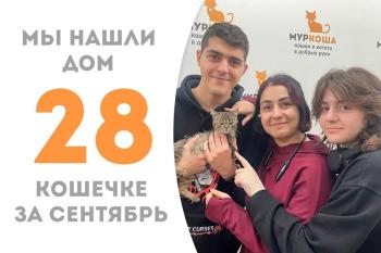 Крошка Кунафа обрела дом за месяц!