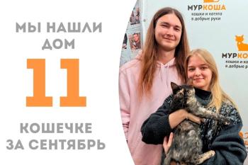 Лапочка Кьюти обрела дом!