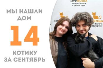 Прошло два месяца, и роскошный Муарчик стал домашним!