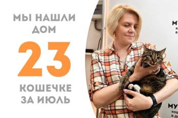Ласточка Океания дождалась своего счастья и упорхала домой!