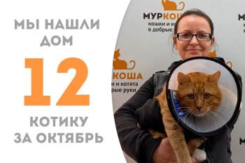 Менее трех месяцев понадобилось Оргайлу, чтобы встретить своих людей!