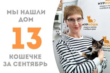 Прекрасная Пилея нашла дом за месяц с небольшим!