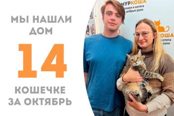 Юная Просекко обрела любящую семью и стала домашней!