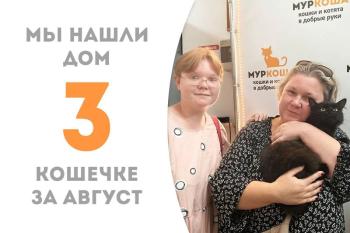 Магическая кошечка Райса обрела дом!