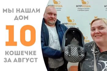 Грациозная Сивия обрела дом!