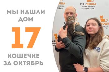 Милая кошечка Тефия, которой исполнился один годик, стала по-настоящему домашней!