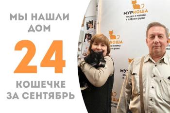 Божественная кошечка Тиори обрела счастье с родными людьми!