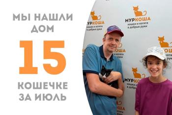 Малышка Тихиро обрела дом за 1 месяц!