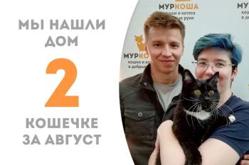 Сногсшибательная Фамагуста стала домашней любимицей!