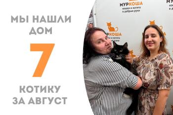 Шикарный Фаркас теперь дома!