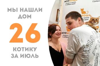 Роскошный Физалис обрёл дом!