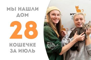 Крошка Филис обрела семью меньше чем за месяц!