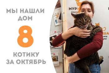 Обрести семью в октябре посчастливилось котику Фрегату!