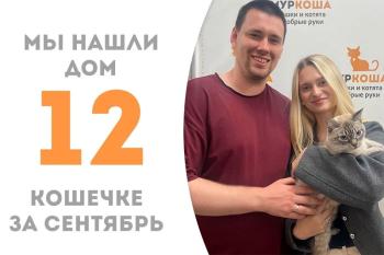 Изящная Цинния нашла своих любимых!