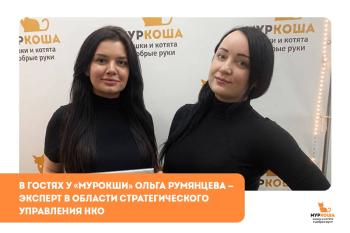 Гости "Муркоши". Ольга Румянцева, автор проекта «Не только про добро».