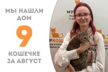 Ласковая Эфика нашла дом за 2 месяца!