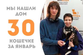 Невероятная Алкмена нашла семью меньше чем за 2 месяца!