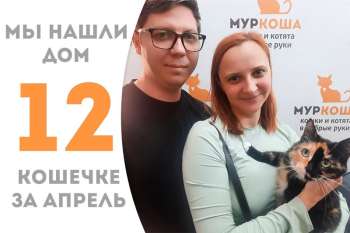 Красавица Боярыня обрела дом за один месяц!