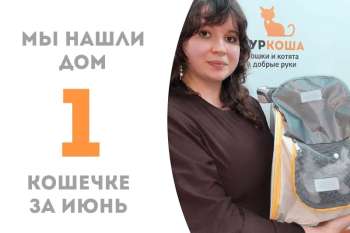 Очаровательная Бугивуги уехала в семью!