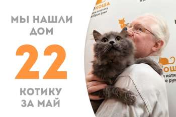 Прекрасный Демарш обрел семью!