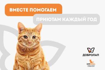 Станьте частью доброго дела вместе с акцией «Добролап»! 