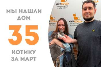Харизматичный Джульбарс дома!