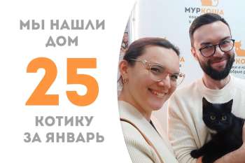 Достойнейший Эркюсь обрел дом!