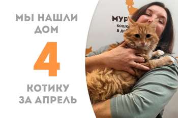 Прекрасный Флисик обрел семью!