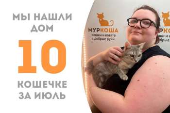 Обаяшка Формоза стала домашней спустя 1,5 месяца!