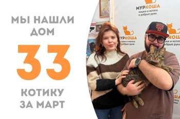 Вальяжный Галилей нашел дом!