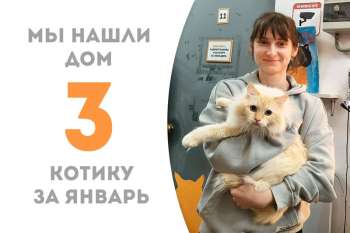 Воздушный Галиотис нашел дом!