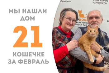 Лучезарная Гестия нашла дом!