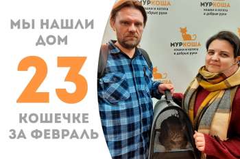 Душечка Калинка нашла дом!