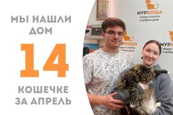 Пушистая дамочка Ласкунья дома!