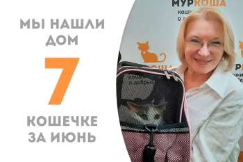 Лапонька Лоскута домашняя!
