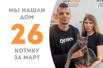 Красавчик Мазарини дома!