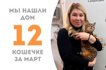 Удивительная Метакса стала домашней!