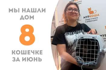 Полосатая Мурайя теперь домашняя!