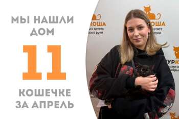 Крошка Охана нашла дом за 2 месяца!