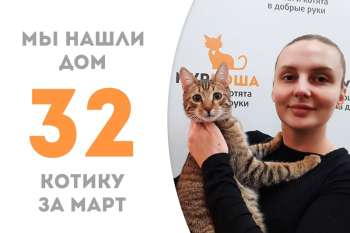 Очаровательный Плутончик теперь дома!