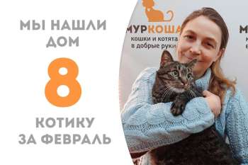 Бесподобный Помпей стал домашним!
