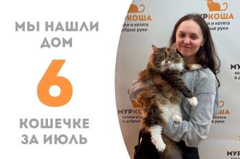 Очаровательная Призма стала домашней!