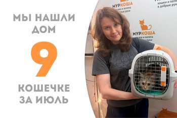 Красотка Пряжа обрела дом почти за 2 недели!
