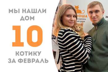 Зимнее солнышко котенок Рамиль обрел свое счастье!
